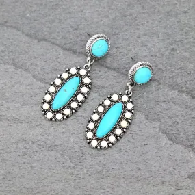 Arizona desert earrings