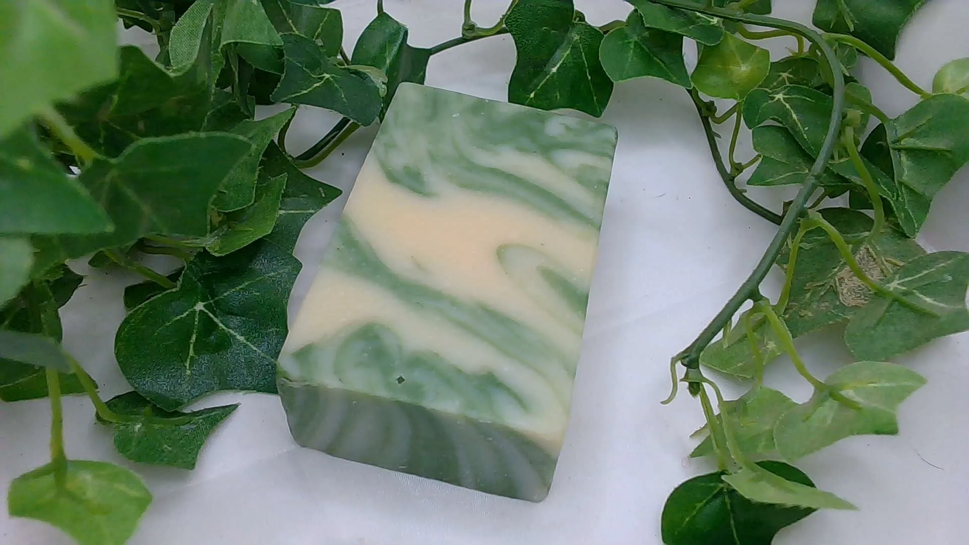 Fresh Aloe infused in Goatmilk Soap