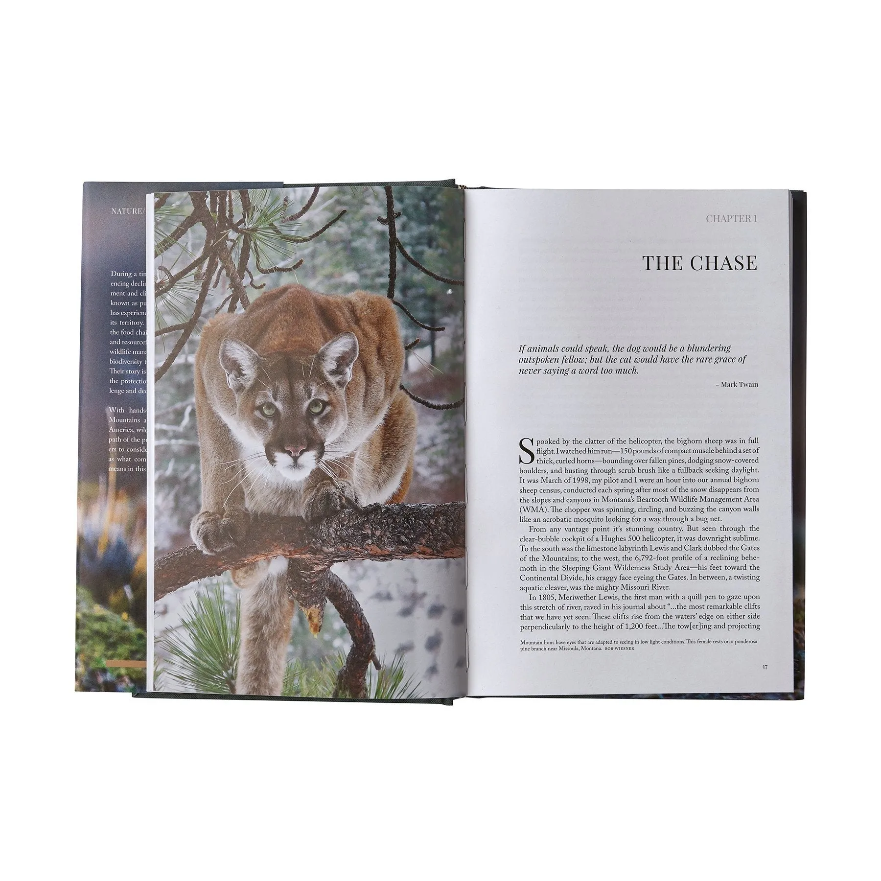 Path of the Puma (hardcover)