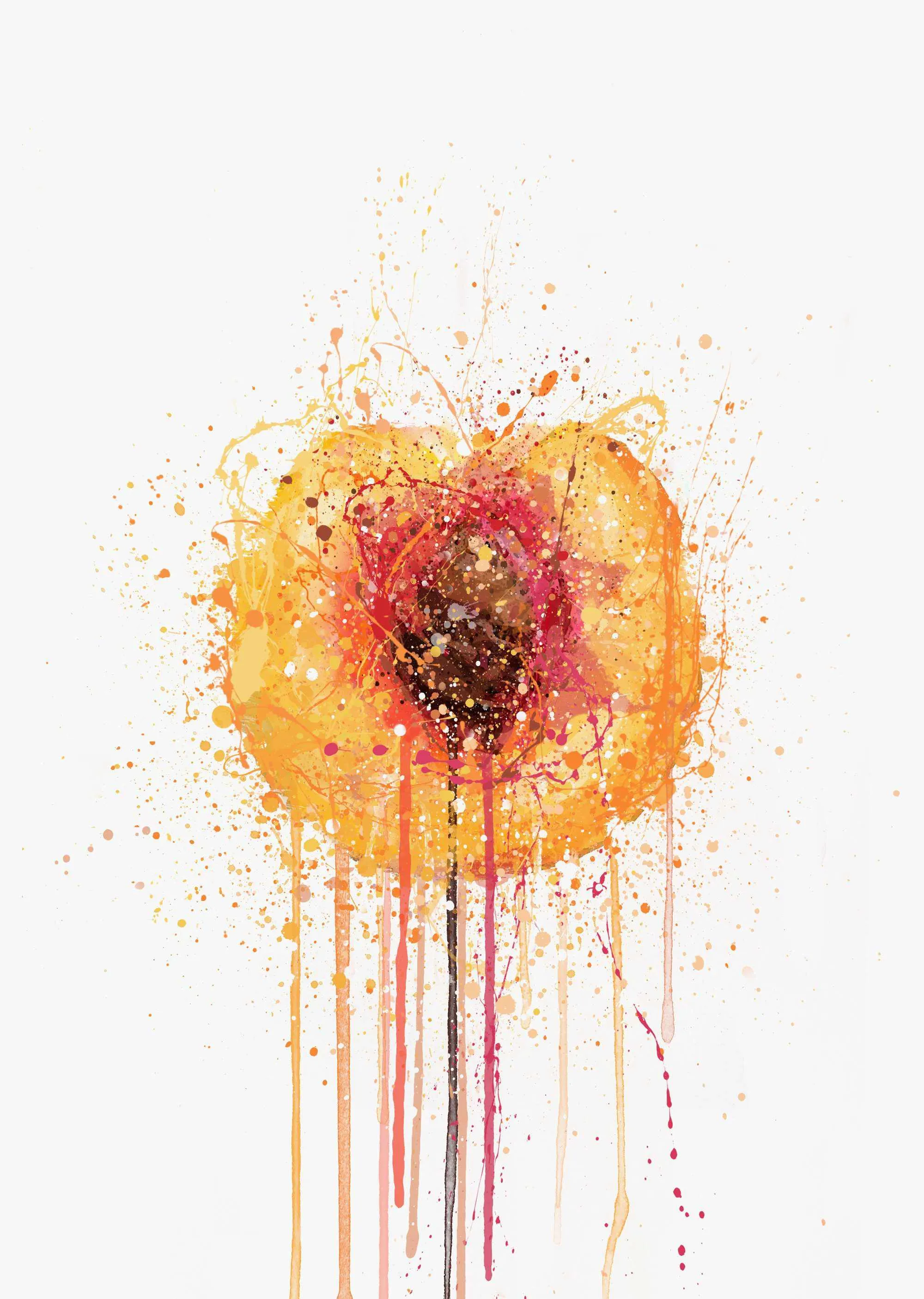 Peach Fruit Wall Art Print